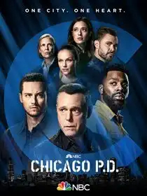 Chicago Police Department S09E01 VOSTFR HDTV