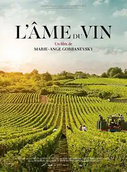 L'Ã‚me du vin FRENCH WEBRIP 720p 2020