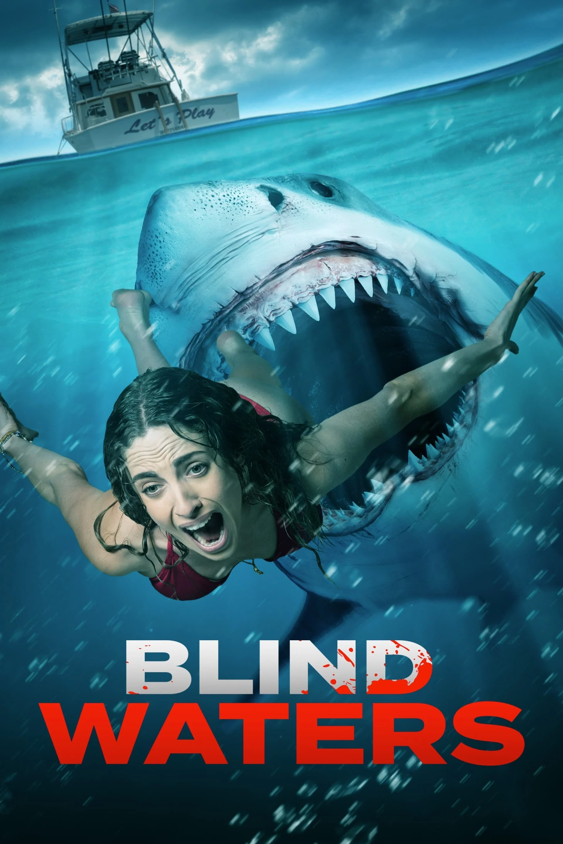 Blind Waters FRENCH WEBRIP 2023
