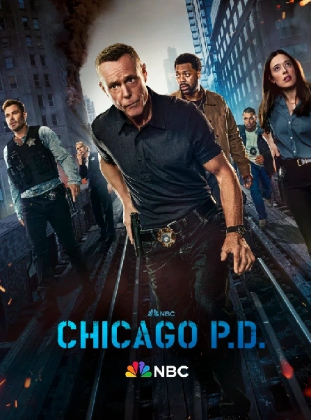 Chicago Police Department S12E02 VOSTFR HDTV 2024