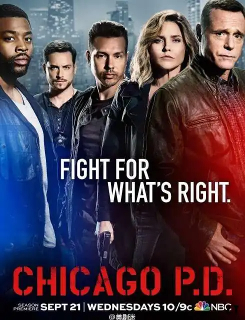 Chicago Police Department Saison 4 FRENCH HDTV