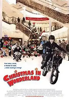 Christmas in Wonderland FRENCH DVDRIP 2010