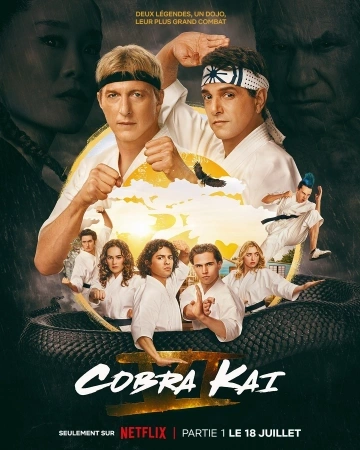 Cobra Kai S06E08 FRENCH HDTV 2024