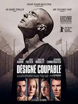 désigné Coupable TRUEFRENCH DVDRIP 2021