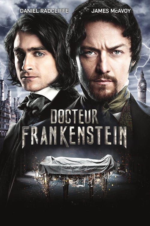 Docteur Frankenstein MULTI TRUEFRENCH HDLight 1080p 2015