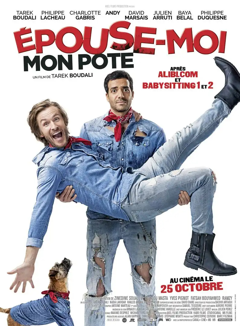 Epouse-moi mon pote FRENCH BluRay 1080p 2017