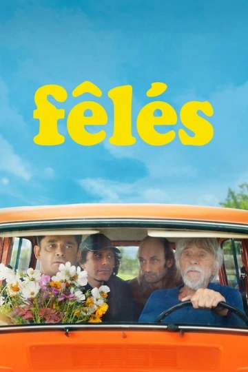 Fêlés FRENCH WEBRIP 720p 2024