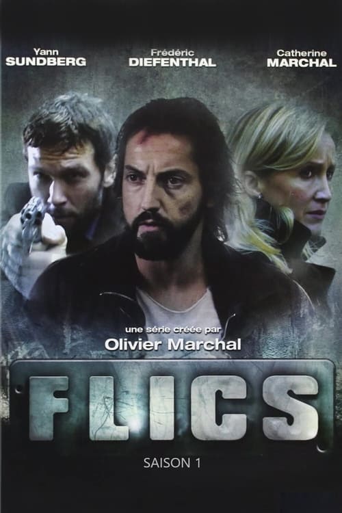 Flics Integrale FRENCH HDTV 1080p 2008