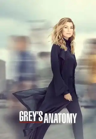 Grey's Anatomy S16E16 VOSTFR HDTV