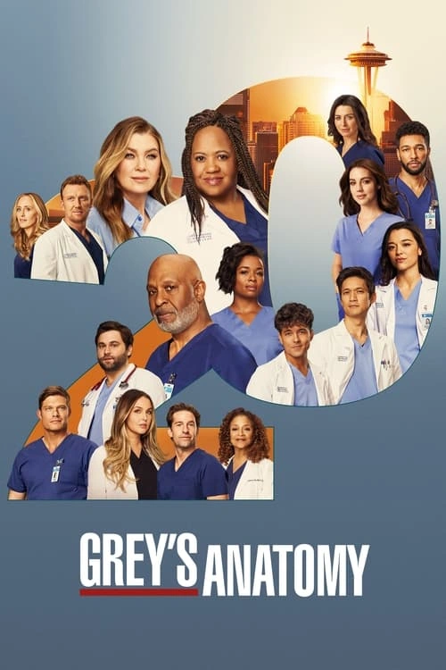 Grey's Anatomy S20E08 MULTI HDTV 1080p 2024