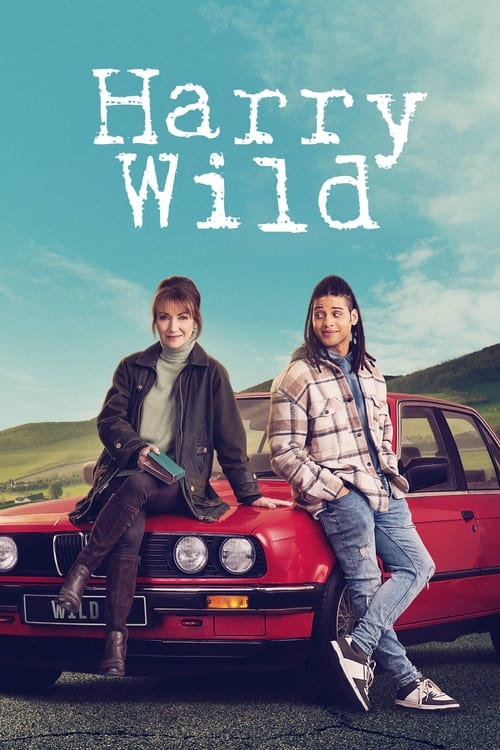 Harry Wild S03E04 FRENCH HDTV 1080p 2024