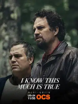 I Know This Much Is True S01E01 FRENCH HDTV