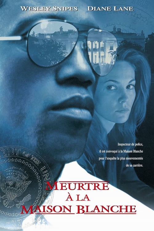 Meurtre à la Maison Blanche - Murder at 1600 MULTI TRUEFRENCH BluRay 1080p 1997