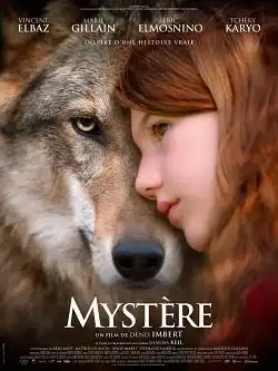 mystère FRENCH WEBRIP 1080p 2021