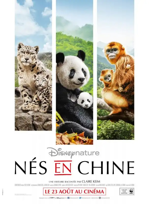NÃ©s en Chine FRENCH HDLight 1080p 2016
