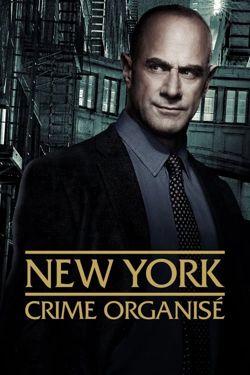 New York : Crime Organisé S04E10 MULTI HDTV 1080p 2024