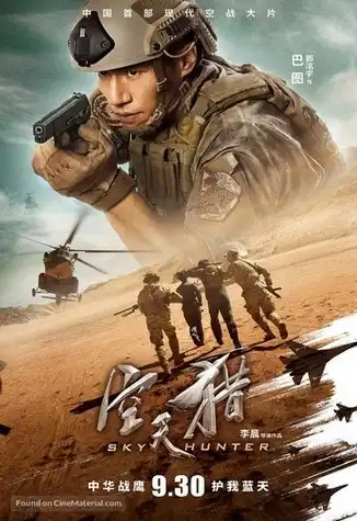 Sky Hunter FRENCH BluRay 720p 2019