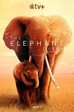 The Elephant Queen FRENCH WEBRIP 720p 2019