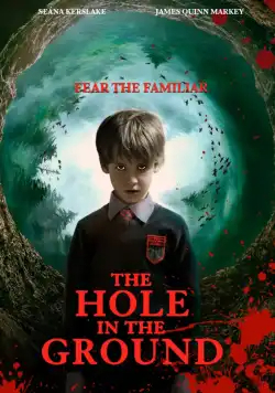 The Hole In The Ground TRUEFRENCH BluRay 720p 2020