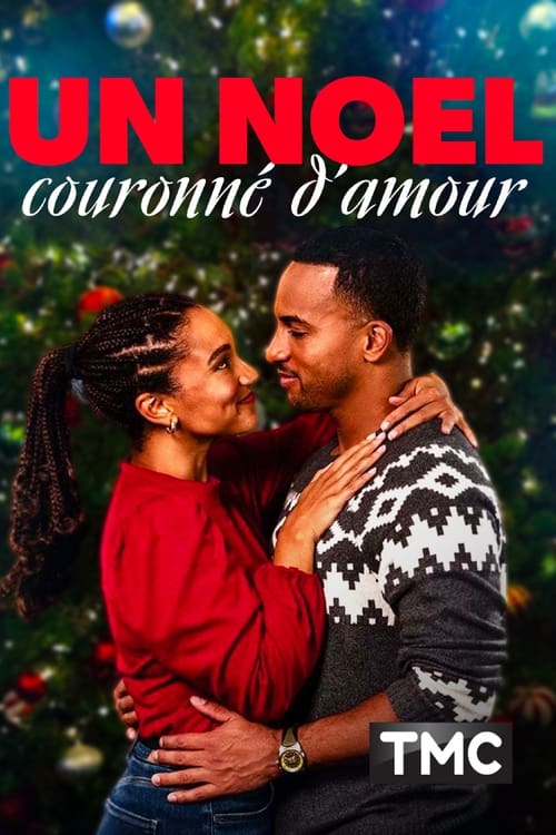 Un Noël couronné d'amour - A Christmas Mission MULTI TRUEFRENCH WEBRIP 1080p 2020