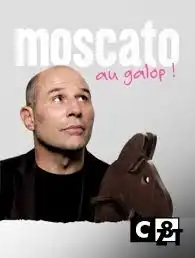 Vincent Moscato Au galop Le Spectacle FRENCH 720p HDTV